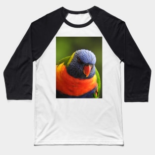 Rainbow Lorikeet Baseball T-Shirt